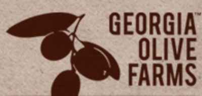 Georgia-olive-farm