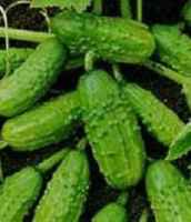 Nationalpickling